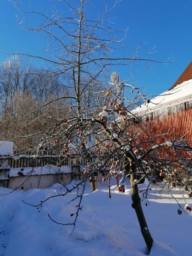 Stilvolles Ferienhaus Artdeco Вернигероде Экстерьер фото